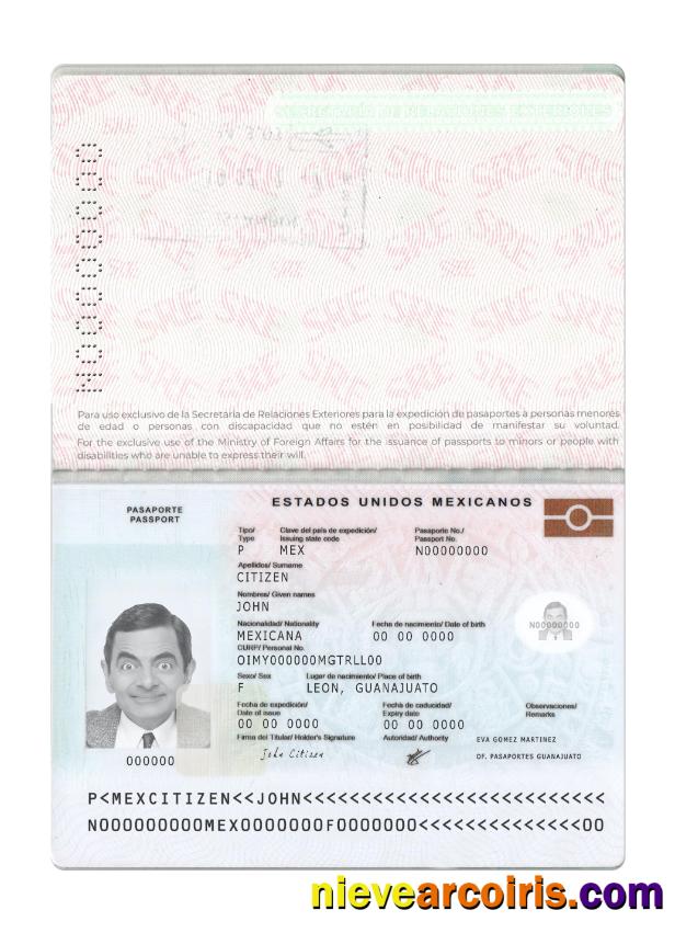 Mexico passport new 2022-present